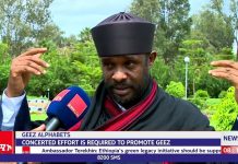 Concerted effort required to promote Geez