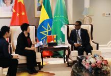 Chinese Automobile Company Pondering To Invest In Ethiopia
