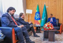 Ethiopia, Chile Reiterate Commitment To Cooperate On Multilateral Issues