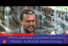 Efforts underway to promote tourism in Amhara
