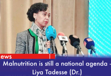 Malnutrition is still a national agenda seeking attention – Liya Tadesse (Dr.)