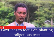 The government should prioritize native plants for ecological restoration – Dessie Assefa (PhD)