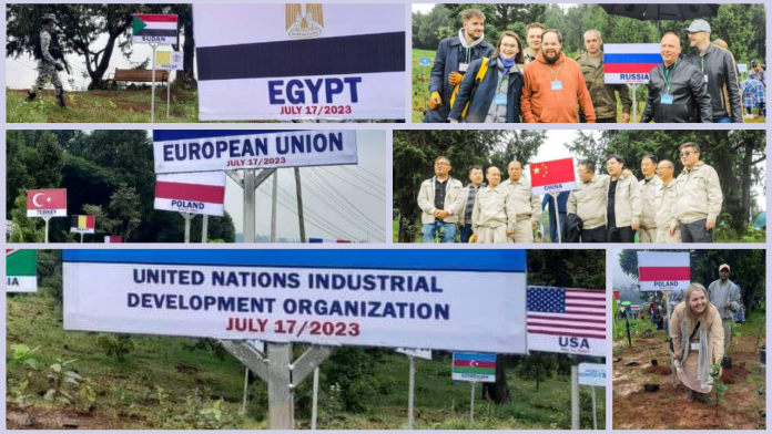 Adobe_Express_20230717_1428530_1