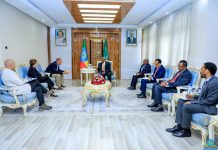 DPM and FM Demeke Receives REP. Kelly
