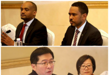 Prosperity Party (PP)