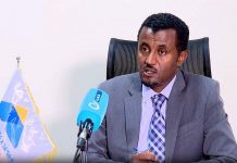 Second-Generation Ethiopian Diaspora