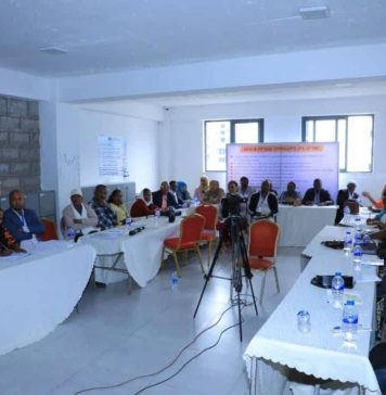 Beyond the Elites: Ethiopia Tests Grassroots Peacebuilding in 4,000-Delegate Summit