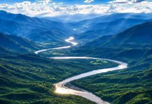 Green Legacy Initiative protects downstream Nile nations from floods and siltation, Ethiopian officials say