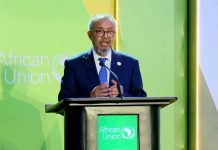 Coordinated Efforts and Commitment by Member States Are Crucial to Achieving Africa’s Development and Growth Goals