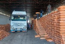 Amhara Region Distributes Over 5.5 Million Quintals of Fertilizer to Farmers