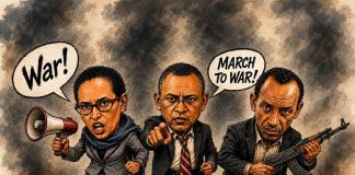 TPLF hardliners are pushing for war