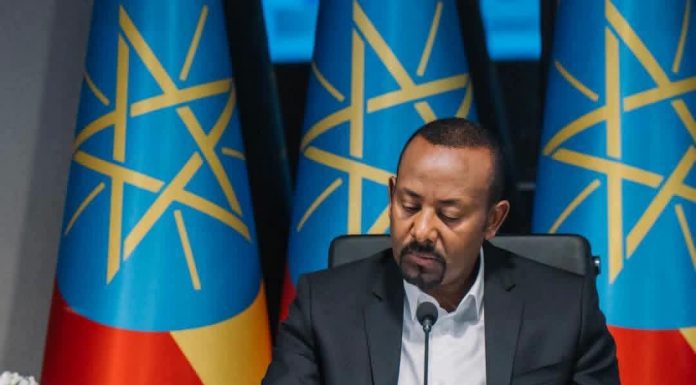 The Concrete Promise: Inside Ethiopia’s High-Stakes Megaproject Experiments