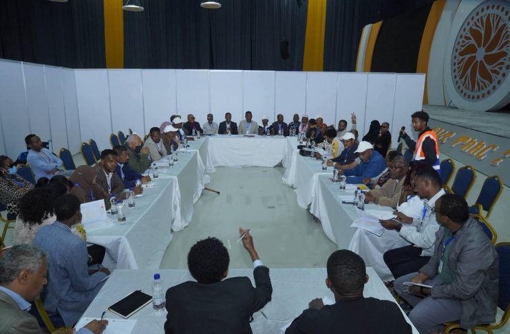 ‘A crucial step forward’: Ethiopians hail National Dialogue as path to lasting peace