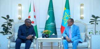 African foreign ministers gather in Addis Ababa as summit targets water security crisis