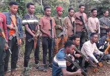 Hundreds of militants accept government peace offer in West Gojjam, officials say