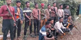 Hundreds of militants accept government peace offer in West Gojjam, officials say