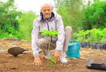 Arega Kebede, chief administrator of Amhara Region leads by example as people in the Region joins nationwide drive to plant 800 million tree saplings in a single day