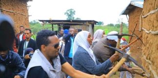 ‘A culture of trust’: How volunteer movement Medemer is powering community development across eastern Ethiopia