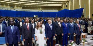 African nations must unite to tackle borderless health crises, says Ethiopian minister