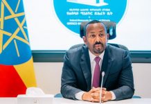 Ethiopia adopts ‘4As’ diplomatic strategy in PM Abiy’s shift towards strategic self-reliance