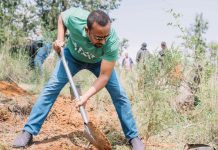 Ethiopia’s Green Legacy Initiative: A Model for Sustainable Development