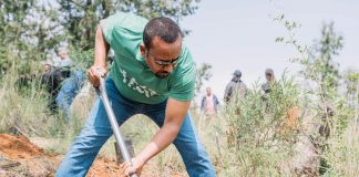 Ethiopia’s Green Legacy Initiative: A Model for Sustainable Development