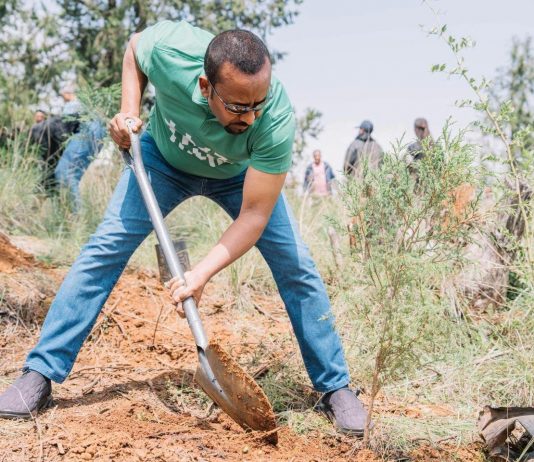 Ethiopia’s Green Legacy Initiative: A Model for Sustainable Development
