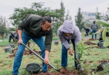 Ethiopia Marks Eighth Consecutive Year of Massive Reforestation with Single-Day 800-million Tree Planting Drive