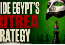How Eritrea Trapped Itself in a Cycle of Decline?