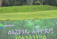Ethio Telecom mobilises staff Eth as part of Ethiopia’s 800m tree-planting drive