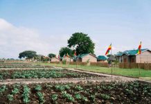 Human-first development: How Ethiopia’s rural corridor initiative aims to transform village economies