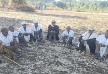 Peace beneath the sycomore: Ethiopia’s Shimigilina offers a model for healing national divides
