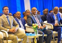 Amhara region leadership claims ‘tangible successes’ in security and development despite multi-faceted challenges