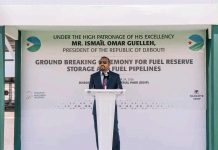 Ethiopia and Djibouti team up with Dangote to build refined fuel pipeline