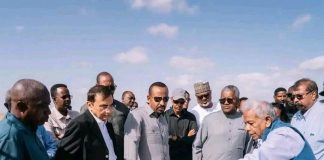 Ethiopia signs $2.5bn Dangote deal for major urea fertiliser plant in Gode