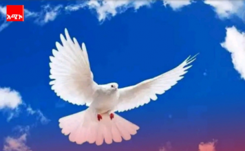 Ethiopian religious figures launch cross-faith initiative to counter online hate and rebuild unity
