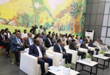Direct access to Red Sea essential for security and stability, says Ethiopian researcher