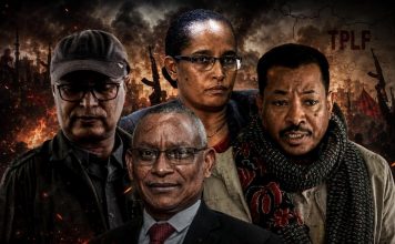 Sabotaging Peace: Why Armed Groups Pose an Existential Threat to Ethiopia’s National Interests