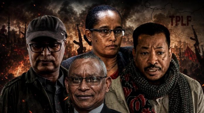 Sabotaging Peace: Why Armed Groups Pose an Existential Threat to Ethiopiaβs National InterestsΒ