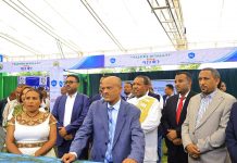 Amhara Region expands digital civil service and one-stop hubs to overhaul public administration