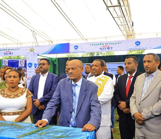 Amhara Region expands digital civil service and one-stop hubs to overhaul public administration