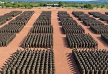The Invincible Ethiopian National Defense Force: The People’s Pride and Shield of National Security