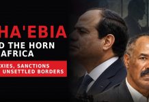 Sha’ebia and the Horn of Africa: Proxies, Sanctions and Unsettled Borders