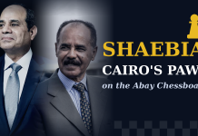 Shaebia, Cairo’s Pawn on the Nile Chessboard