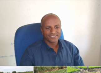 ከ37 ሚሊዮን ኩንታል በላይ ምርት በመስኖ እርሻ ለማምረት እየሰራ መሆኑን የአማራ ክልል ግብርና ቢሮ አስታወቀ፡፡