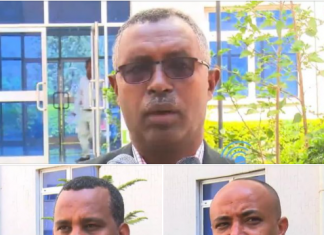 ዩኒቨርሲቲዎች የሚያካሂዷቸውን ጥናትና ምርምሮች ወደ ተግባር ለመቀየር በቅንጅት ሊሠራ እንደሚገባ ምሁራን አሳሰቡ፡፡