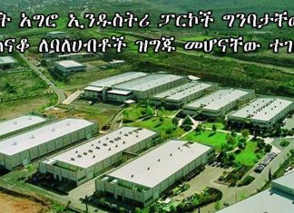 ሶስት አግሮ ኢንዱስትሪ ፓርኮች ግንባታቸው ተጠናቆ ለኢንቨስትመንት ዝግጁ መሆናቸው ተገለጸ፡፡