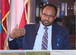 በግማሽ ዓመቱ ከ2 ቢሊየን ብር በላይ በሆነ ወጭ 208 ባለሃብቶች የኢንቨስትመንት ፈቃድ ወስደው ወደሥራ መግባታቸውን የሱማሌ ክልል አስታወቀ፡፡