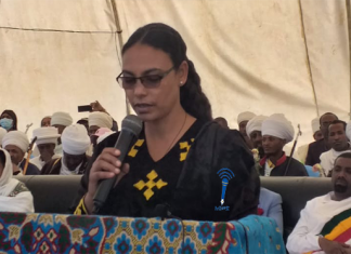 “እንዲህ ብዙ ሆናችሁ እንደአንድ ስትታዩ ታምራላችሁ” ዶክተር ሂሩት ካሳው