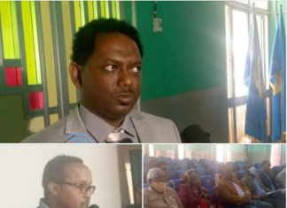 በኢትዮጵያ እና ሱዳን መካከል የሚስተዋለውን የድንበር ውዝግብን ለመፍታት የሀገራቱ ታሪካዊና ዲፕሎማሲያዊ ግንኙነት ብቻውን በቂ መሆኑን ምሁራን ገለፁ፡፡
